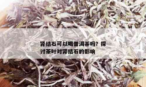 肾结石可以喝普洱茶吗？探讨茶叶对肾结石的影响