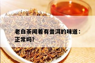 老白茶闻着有普洱的味道：正常吗？