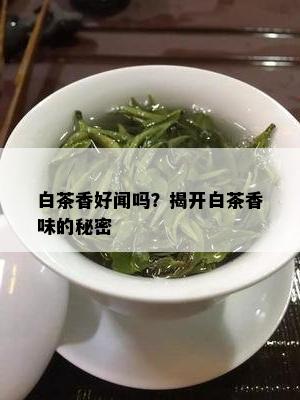 白茶香好闻吗？揭开白茶香味的秘密