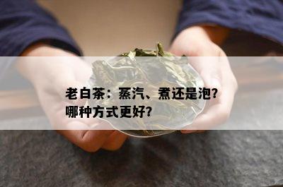 老白茶：蒸汽、煮还是泡？哪种方式更好？