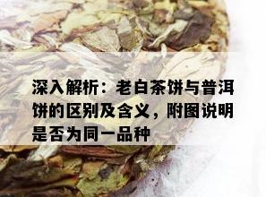 深入解析：老白茶饼与普洱饼的区别及含义，附图说明是否为同一品种