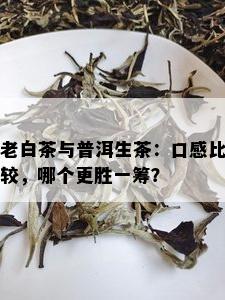 老白茶与普洱生茶：口感比较，哪个更胜一筹？