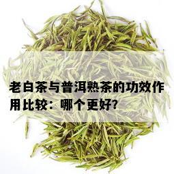 老白茶与普洱熟茶的功效作用比较：哪个更好？