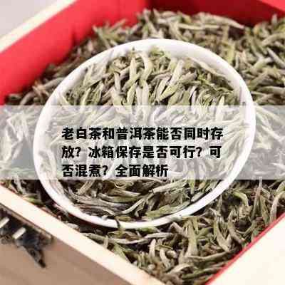 老白茶和普洱茶能否同时存放？冰箱保存是否可行？可否混煮？全面解析