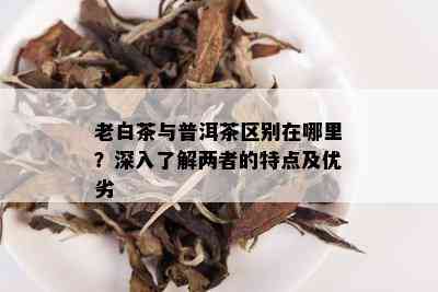 老白茶与普洱茶区别在哪里？深入了解两者的特点及优劣