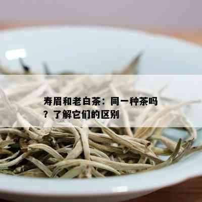 寿眉和老白茶：同一种茶吗？了解它们的区别