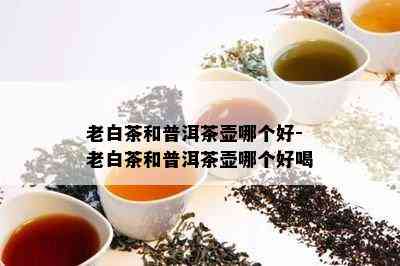 老白茶和普洱茶壶哪个好-老白茶和普洱茶壶哪个好喝