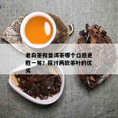 老白茶和普洱茶哪个口感更胜一筹？探讨两款茶叶的优劣