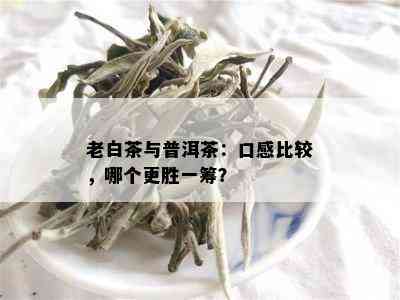 老白茶与普洱茶：口感比较，哪个更胜一筹？