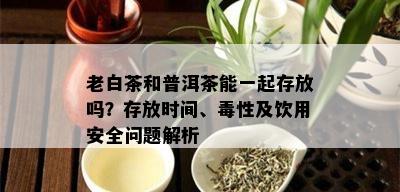 老白茶和普洱茶能一起存放吗？存放时间、性及饮用安全问题解析