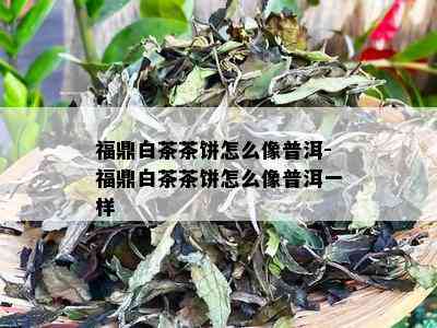 福鼎白茶茶饼怎么像普洱-福鼎白茶茶饼怎么像普洱一样