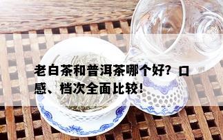 老白茶和普洱茶哪个好？口感、档次全面比较！