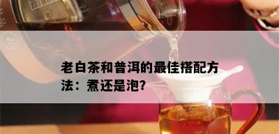 老白茶和普洱的更佳搭配方法：煮还是泡？