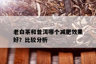 老白茶和普洱哪个减肥效果好？比较分析