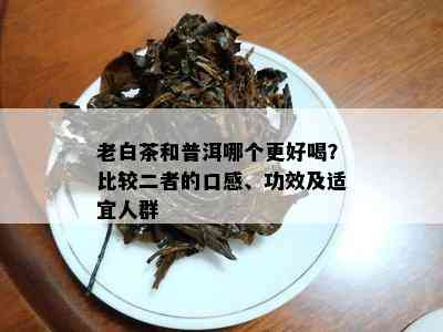 老白茶和普洱哪个更好喝？比较二者的口感、功效及适宜人群