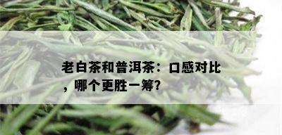 老白茶和普洱茶：口感对比，哪个更胜一筹？