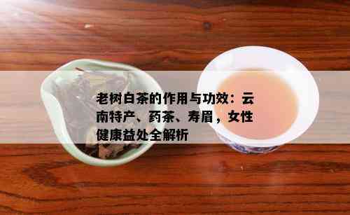 老树白茶的作用与功效：云南特产、药茶、寿眉，女性健康益处全解析