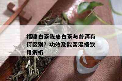 福鼎白茶陈皮白茶与普洱有何区别？功效及能否混搭饮用解析