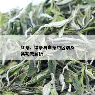 红茶、绿茶与白茶的区别及其功效解析