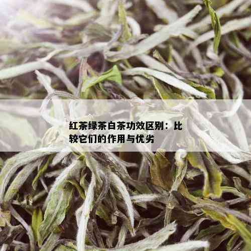 红茶绿茶白茶功效区别：比较它们的作用与优劣