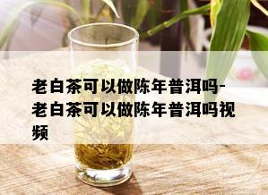 老白茶可以做陈年普洱吗-老白茶可以做陈年普洱吗视频