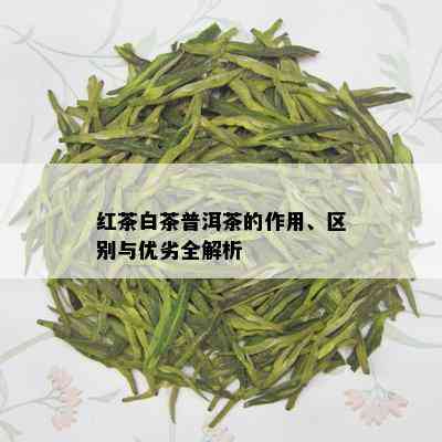 红茶白茶普洱茶的作用、区别与优劣全解析