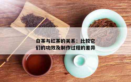 白茶与红茶的关系：比较它们的功效及制作过程的差异