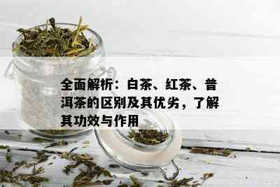 全面解析：白茶、红茶、普洱茶的区别及其优劣，了解其功效与作用