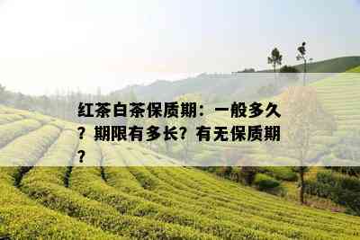 红茶白茶保质期：一般多久？期限有多长？有无保质期？