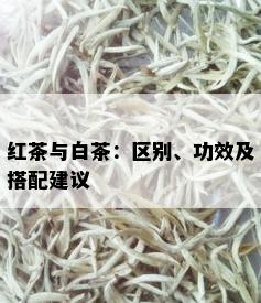 红茶与白茶：区别、功效及搭配建议