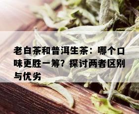 老白茶和普洱生茶：哪个口味更胜一筹？探讨两者区别与优劣