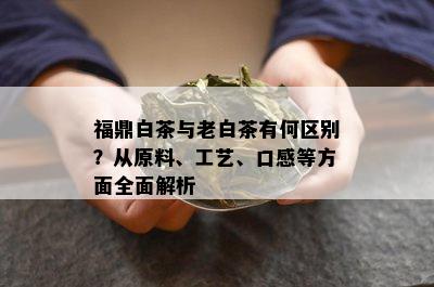 福鼎白茶与老白茶有何区别？从原料、工艺、口感等方面全面解析