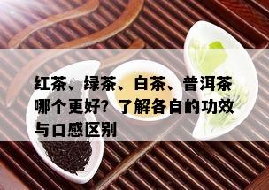 红茶、绿茶、白茶、普洱茶哪个更好？了解各自的功效与口感区别