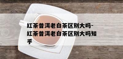 红茶普洱老白茶区别大吗-红茶普洱老白茶区别大吗知乎