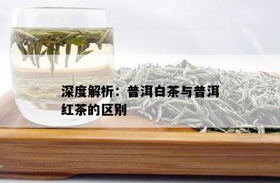 深度解析：普洱白茶与普洱红茶的区别