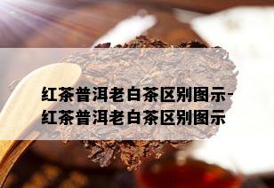 红茶普洱老白茶区别图示-红茶普洱老白茶区别图示