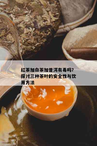 红茶加白茶加普洱有吗？探讨三种茶叶的安全性与饮用方法