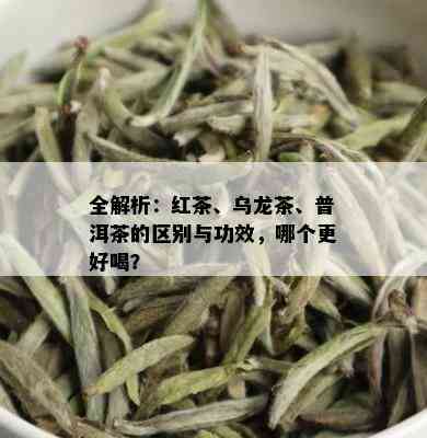 全解析：红茶、乌龙茶、普洱茶的区别与功效，哪个更好喝？