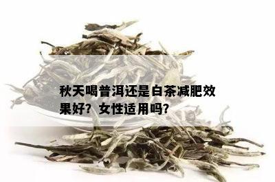 秋天喝普洱还是白茶减肥效果好？女性适用吗？