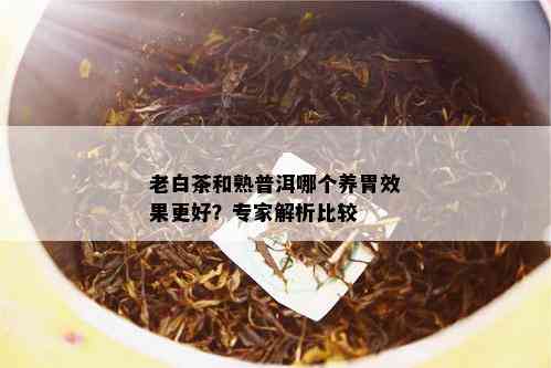 老白茶和熟普洱哪个养胃效果更好？专家解析比较