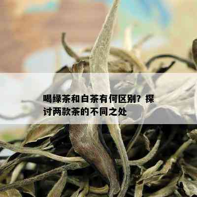 喝绿茶和白茶有何区别？探讨两款茶的不同之处