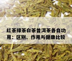 红茶绿茶白茶普洱茶各自功用：区别、作用与健康比较