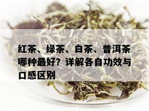 红茶、绿茶、白茶、普洱茶哪种更好？详解各自功效与口感区别