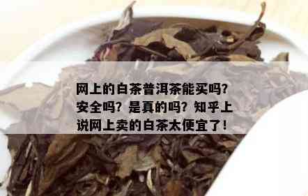 网上的白茶普洱茶能买吗？安全吗？是真的吗？知乎上说网上卖的白茶太便宜了！