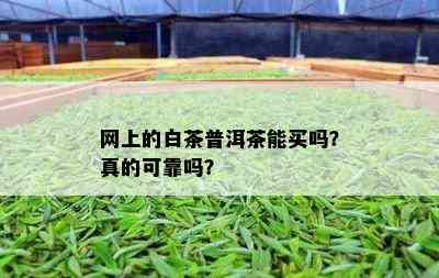 网上的白茶普洱茶能买吗？真的可靠吗？