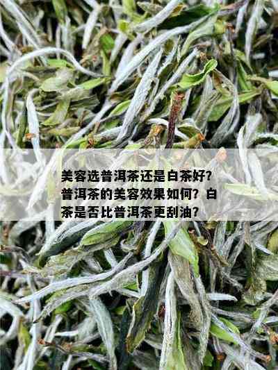 美容选普洱茶还是白茶好？普洱茶的美容效果如何？白茶是否比普洱茶更刮油？