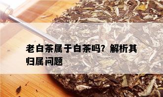 老白茶属于白茶吗？解析其归属问题