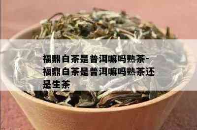 福鼎白茶是普洱嘛吗熟茶-福鼎白茶是普洱嘛吗熟茶还是生茶