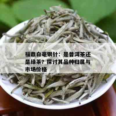 福鼎白毫银针：是普洱茶还是绿茶？探讨其品种归属与市场价格