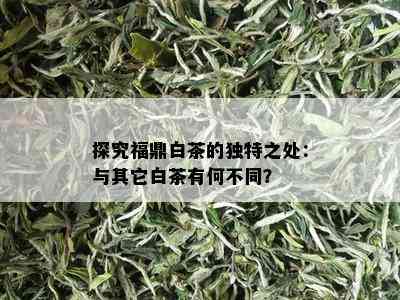 探究福鼎白茶的独特之处：与其它白茶有何不同？